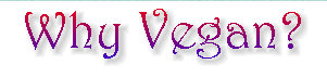 all_vegan_gourmet_website007008.jpg